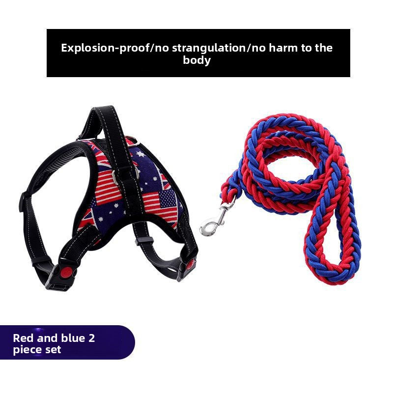 Dog harness and lead set shown in pink, purple and black