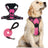 Reflective vest dog harness in black with matching rope lead
