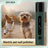 Type-C Rechargeable Pet Nail Grinder with Replacement Head
