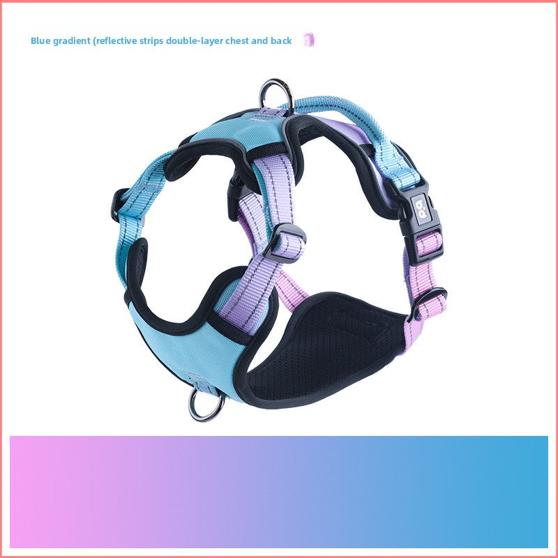 Reflective gradient dog harness in cyan blue with matching lead