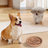 Dog Bowl Feeder
