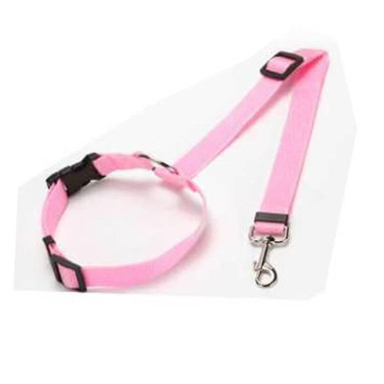 Adjustable nylon pet tether lead, ideal for everyday use