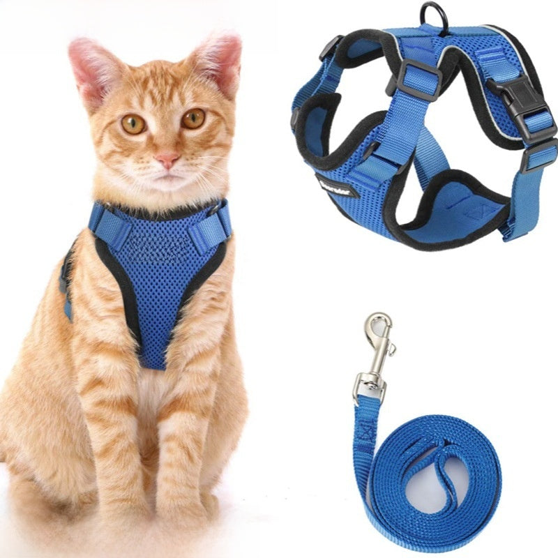 Cat wearing a soft polyester vest harness in the garden