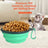 pet feeding bowl