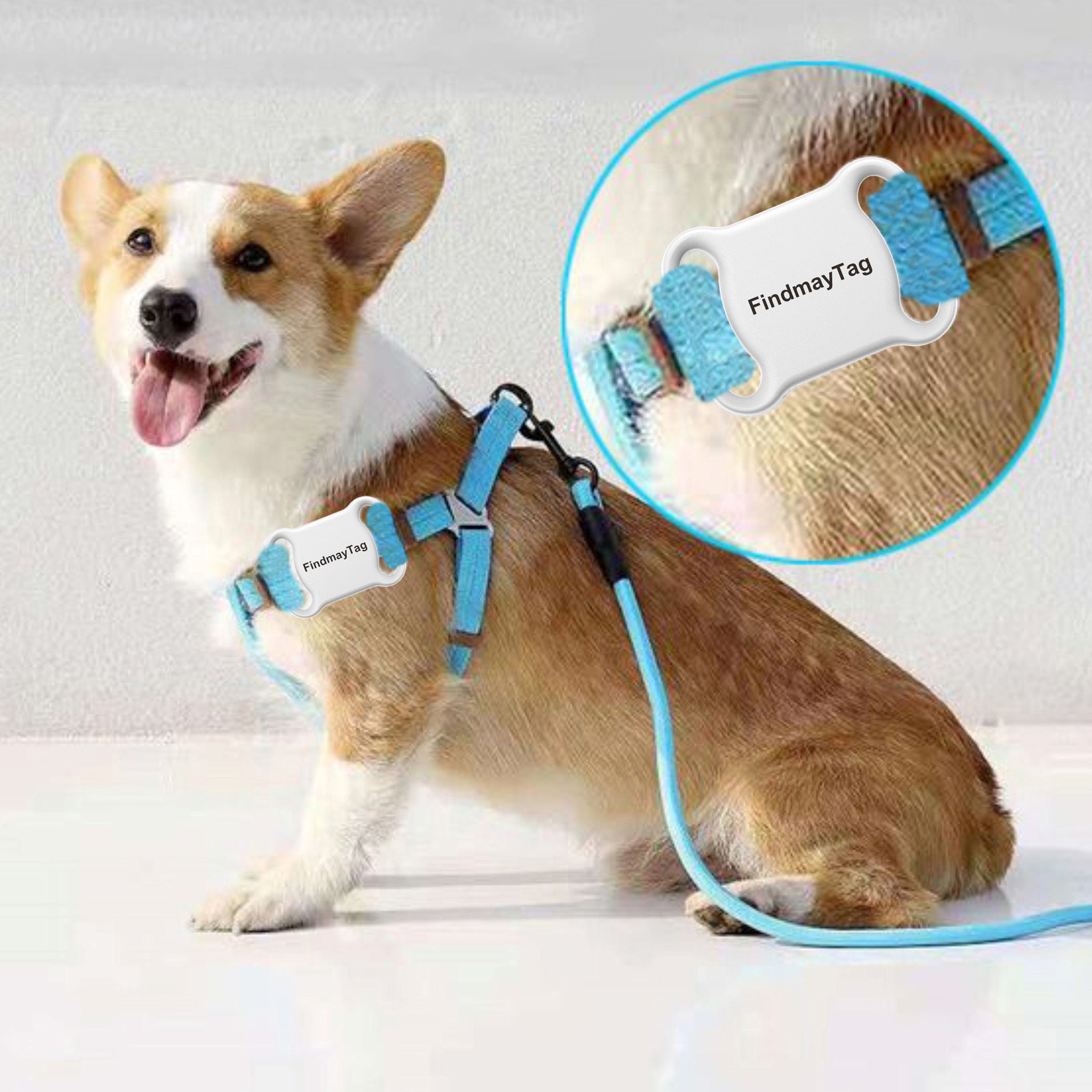 Lightweight pet locator tag for collars in Black Plain, side view