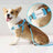 Lightweight pet locator tag for collars in Black Plain, side view
