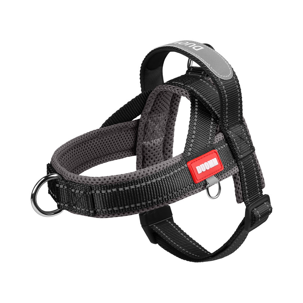 Reflective no pull saddle harness in red and blue on a dog
