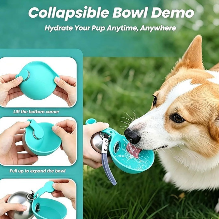 Portable Pet Water Bottle with Foldable Silicone Bowl and 304 Stainless Steel Body