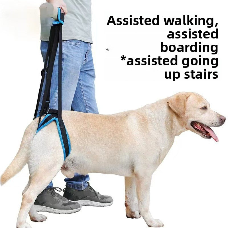 Blue breathable mesh hind leg support harness for senior dogs, product image 1
