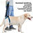 Blue breathable mesh hind leg support harness for senior dogs, product image 1