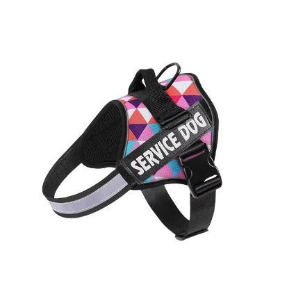 Reflective dog harness and lead set, available from Pet Royale UK