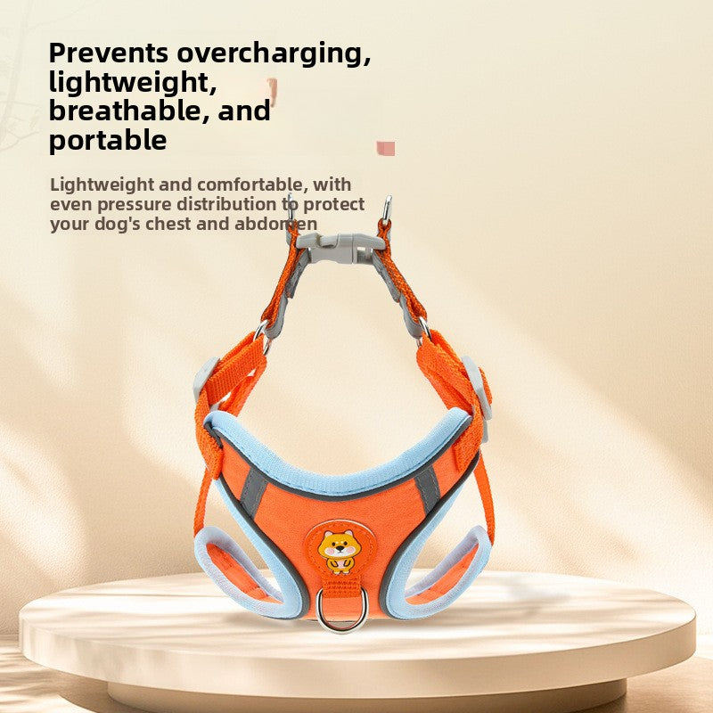 Reflective vest harness and lead for small dogs, ideal for everyday use