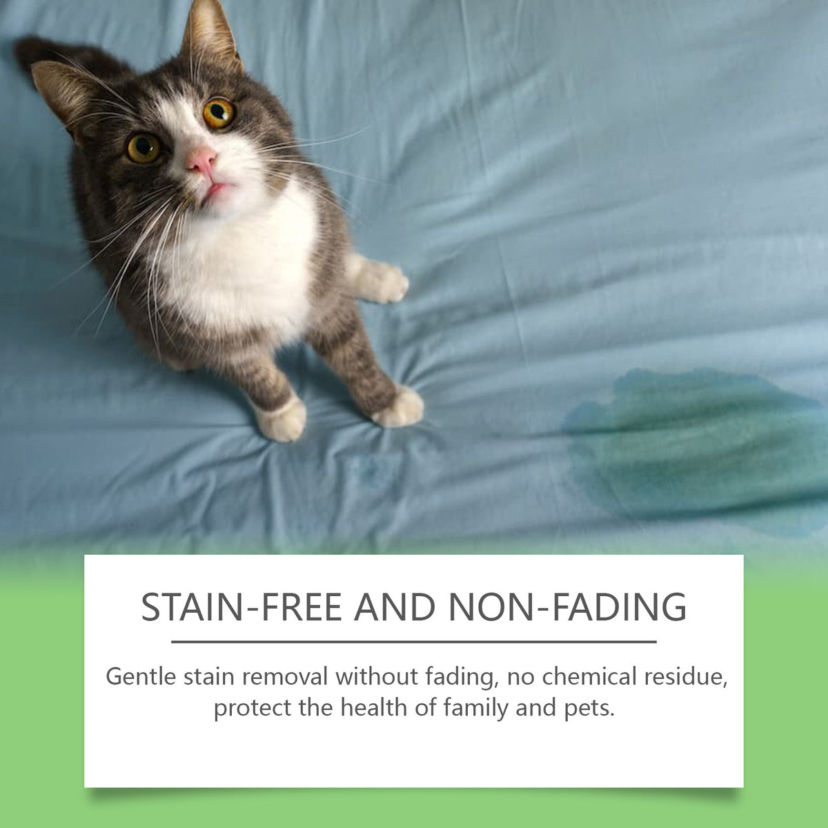 Pet Stain and Odour Remover Spray 120ml for Dogs and Cats