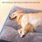 Removable washable plush dog sleeping mat in forest green, photo 3