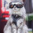 H-shaped cat harness and lead set in polyester, product image 1
