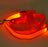 LED light up dog lead glowing green at night