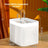 Circulating Cat Water Fountain with Ultra-Quiet Pump, Filter and Transparent Tank
