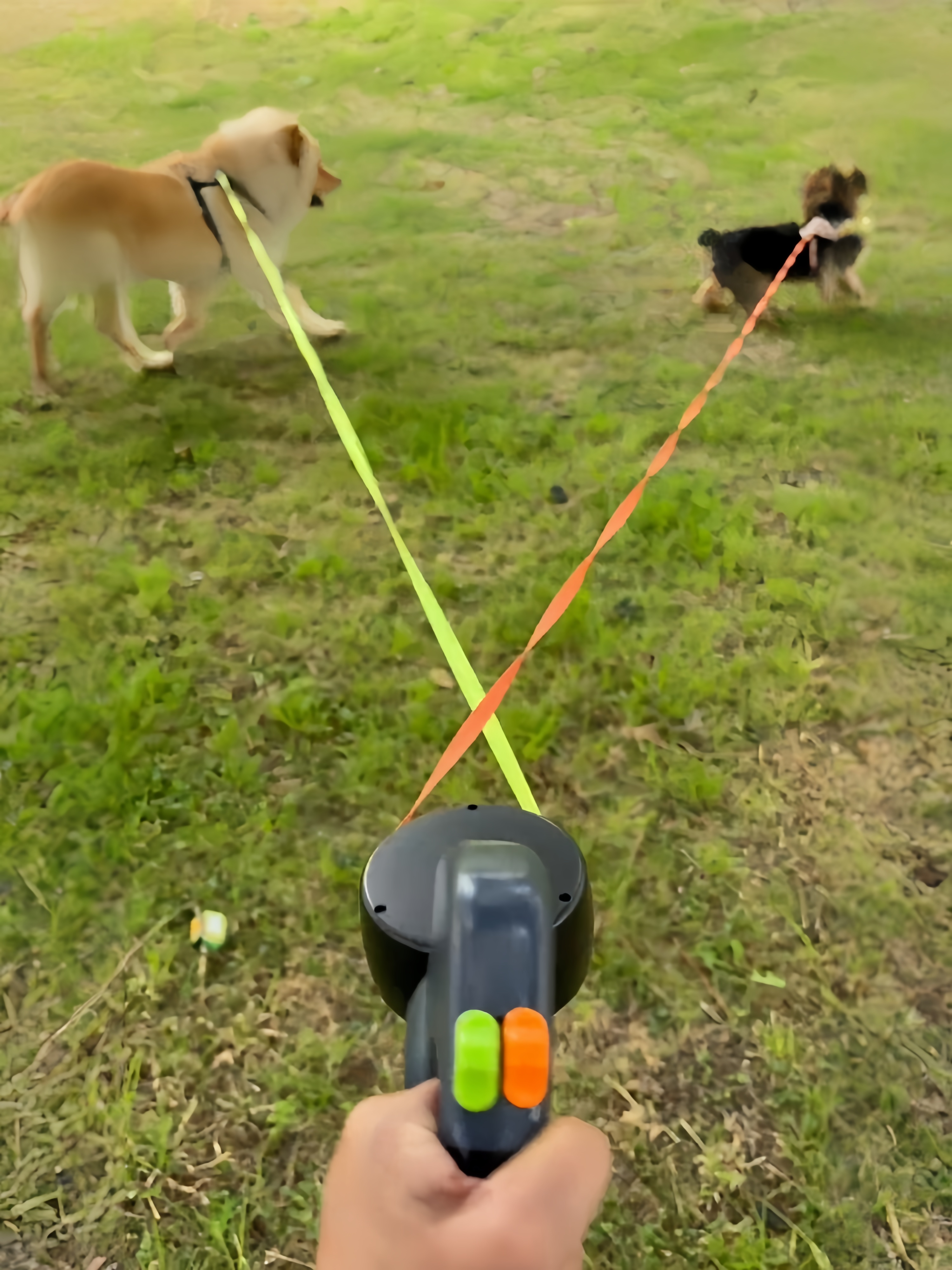 Double ended retractable dog lead for walking two small dogs
