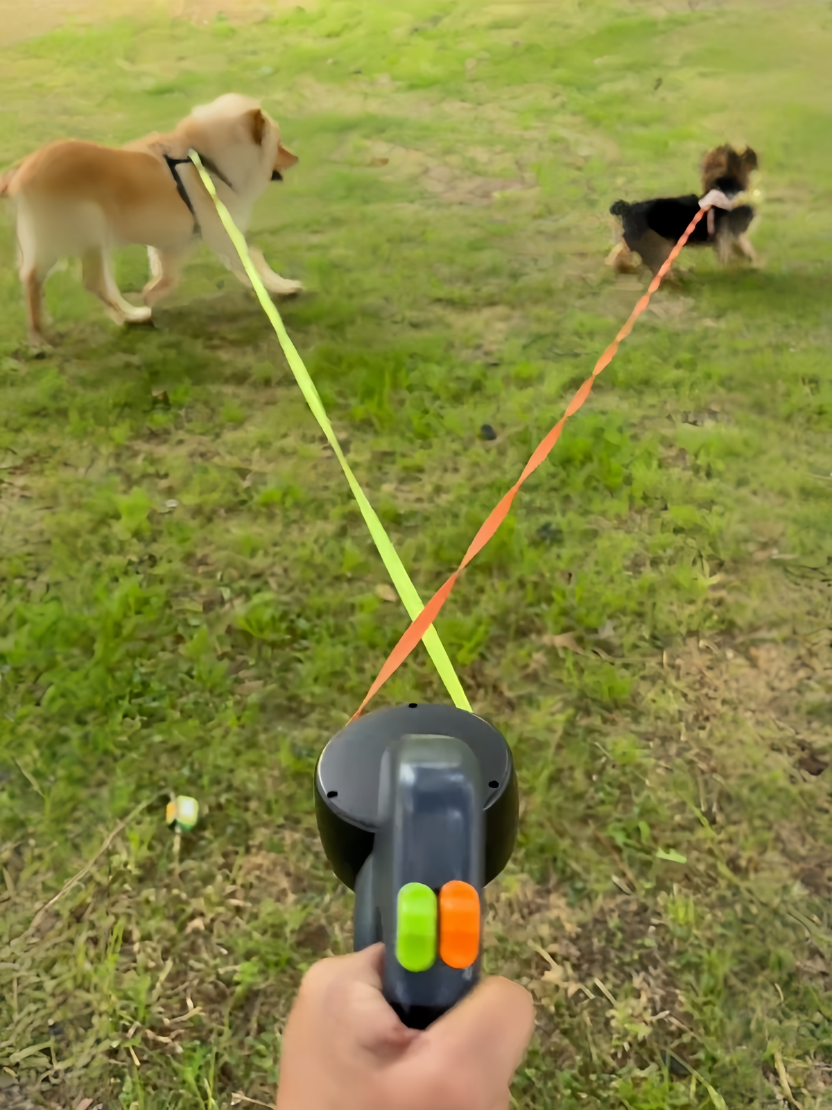 Double ended retractable dog lead for walking two small dogs