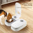 Pet Automatic Feeder Dual Meal Cat Dog Bowl