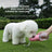 Multifunctional Pet Water Cup