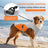 Dog cooling vest with reflective strips in light grey and orange, view 4