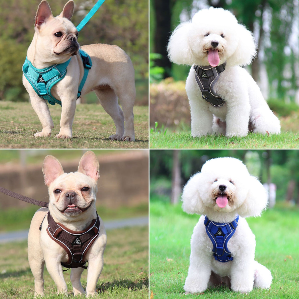 Reflective breathable mesh cat harness vest in 6 colour options
