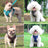 Reflective breathable mesh cat harness vest in 6 colour options