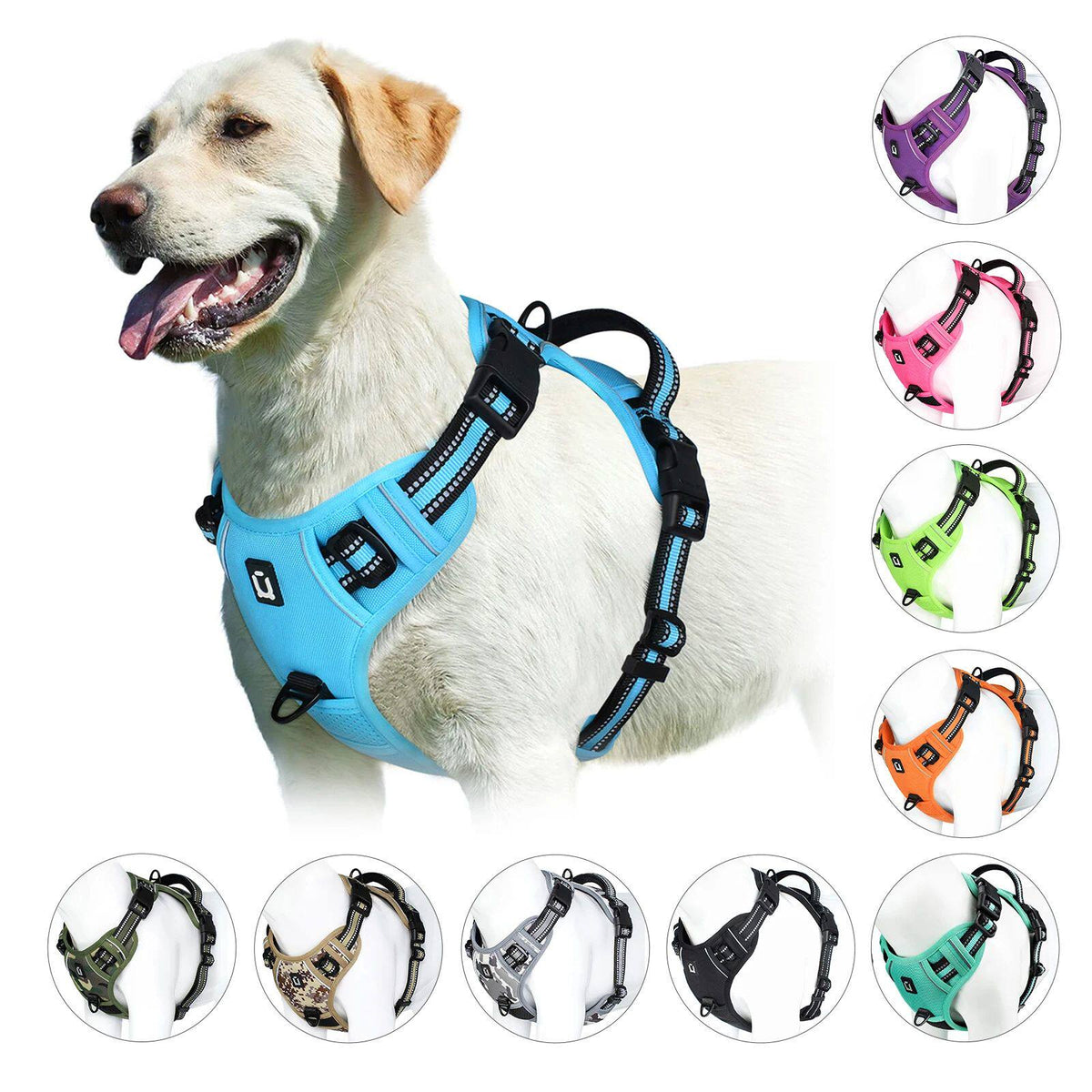 No-pull soft padded dog harness, main product photo