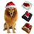 Lion mane and Christmas hat pet costume in Light Brown, size Large