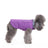 Windproof hooded dog jacket with zip front in Dark Grey, in a home setting