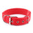 Foam padded adjustable dog collar, ideal for everyday use
