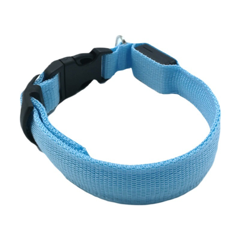 LED nylon pet collar with double-sided glow in Blue, in a home setting