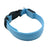 LED nylon pet collar with double-sided glow in Blue, in a home setting