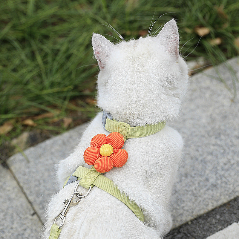 Flower print H-harness and lead for dogs and cats, ideal for everyday use
