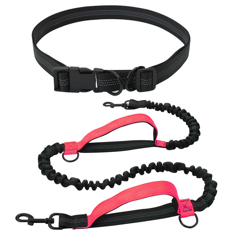 Hands-free running lead with waist belt, ideal for runs and hikes