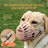 Adjustable breathable plastic dog muzzle with mesh cage, product image 3