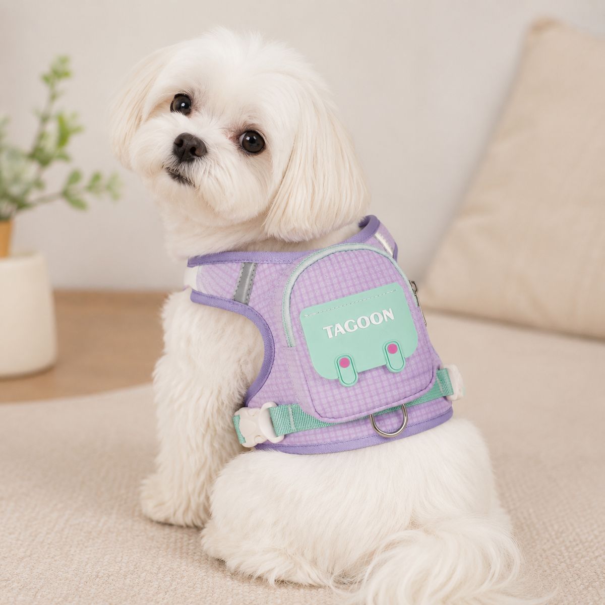 Soft nylon small dog harness and lead, main product photo