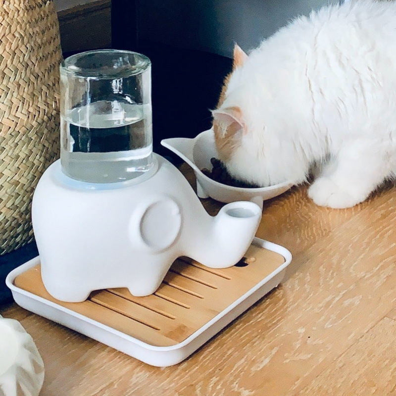 ceramic pet bowl