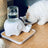 ceramic pet bowl