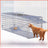 Foldable humane cat trap cage, detail photo 6