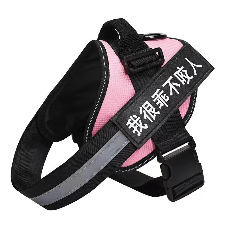 Lightweight mesh dog harness and lead set in bright colours