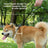 Anti-escape fabric dog slip lead with adjustable loop, product image 2