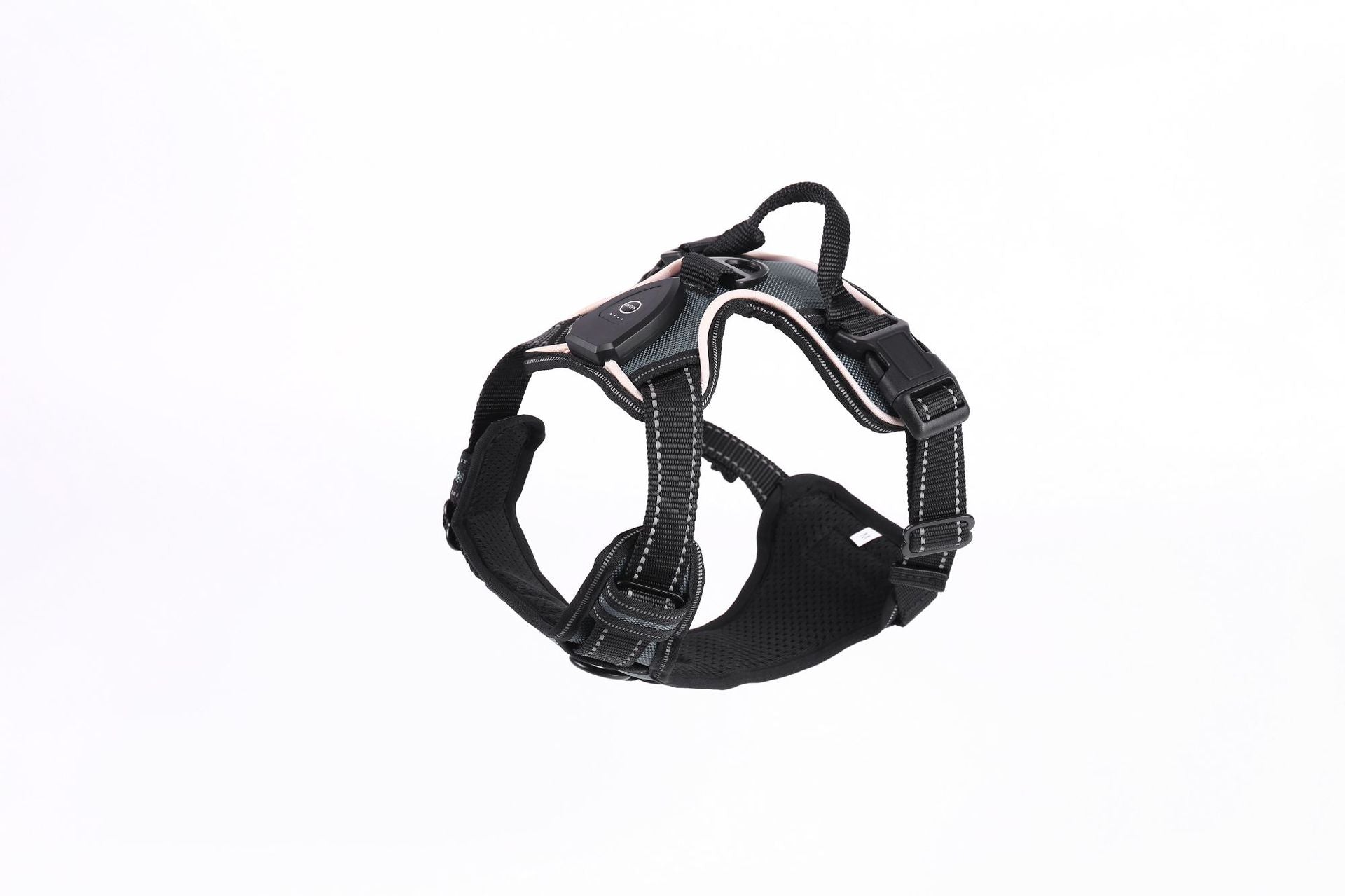 Light up fibre optic dog harness glowing at night, view 25