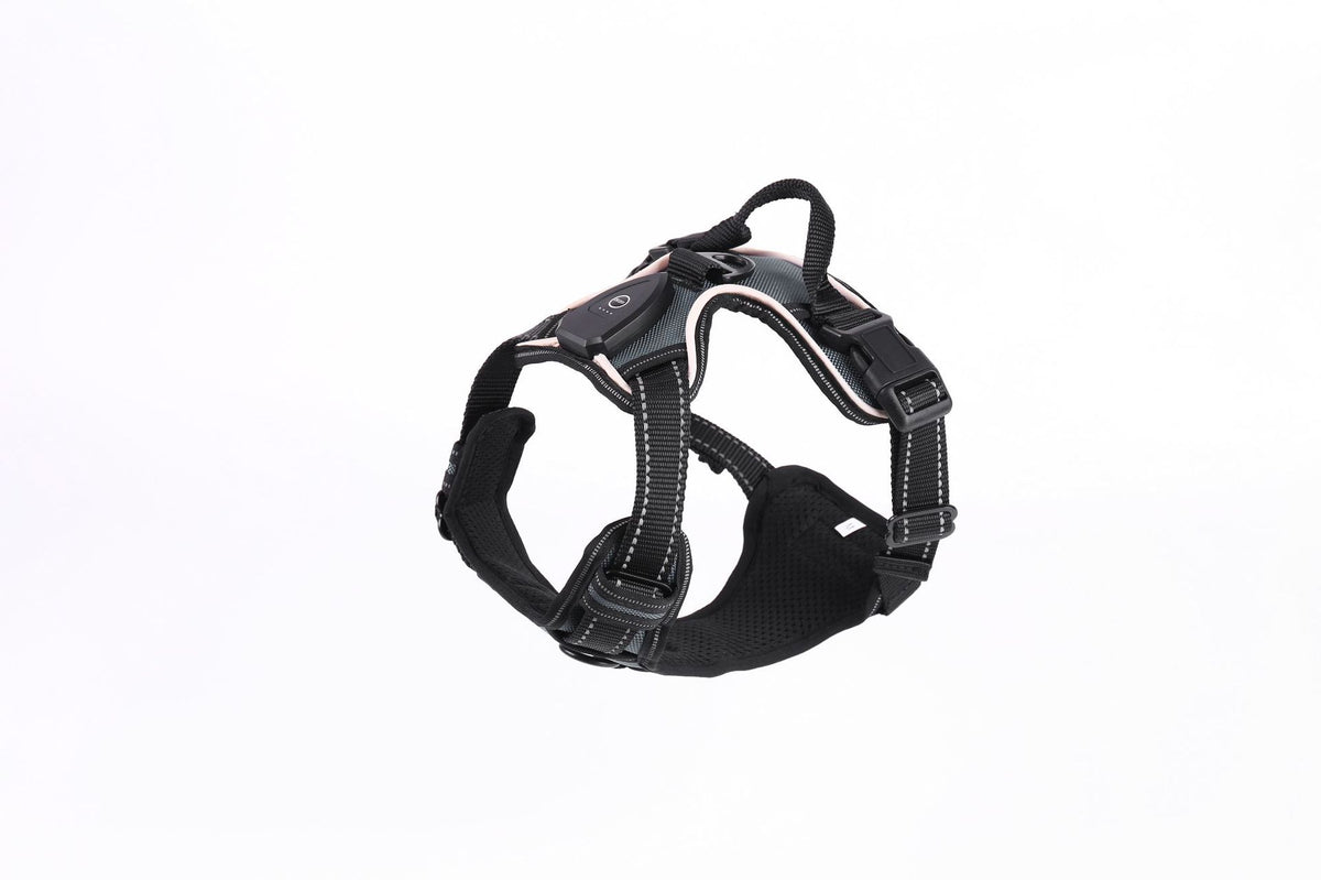 Light up fibre optic dog harness glowing at night, view 25