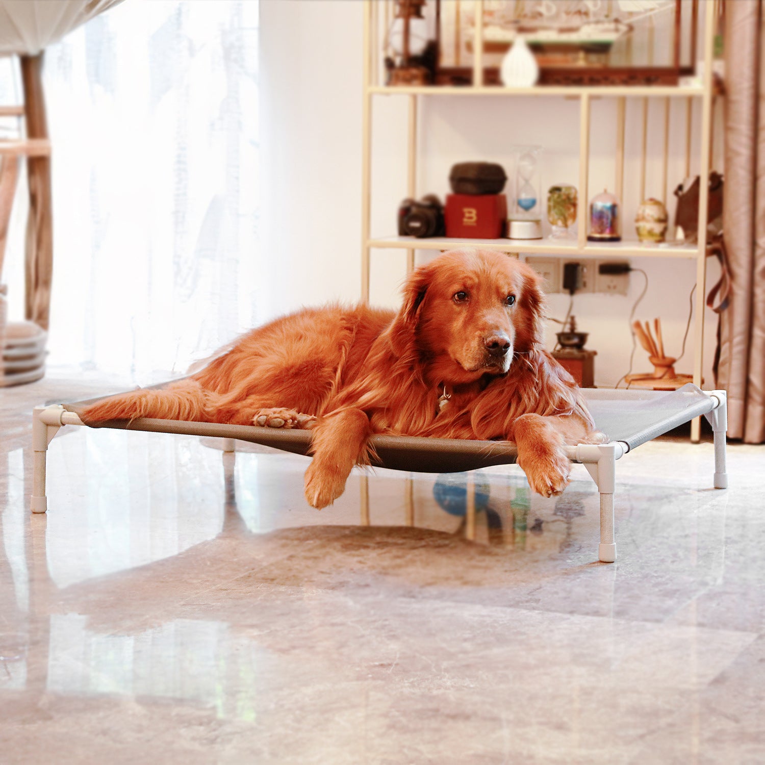 Raised breathable dog bed with rust-proof frame, main product photo
