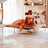 Raised breathable dog bed with rust-proof frame, main product photo