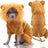 Four leg dinosaur jumpsuit for dogs and cats, available in 11 styles, image 1