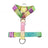 Gradient colour no pull dog harness with matching lead