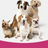 Calming Dog Hood, Neoprene Ear Wrap for Grooming and Noise Anxiety